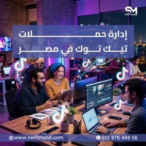 إدارة حملات تيك توك في مصر