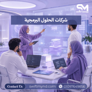 شركات الحلول البرمجية