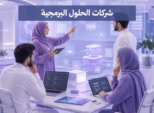 شركات الحلول البرمجية