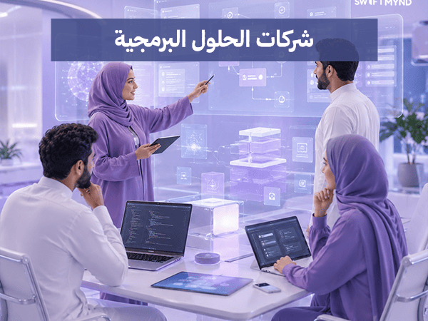 شركات الحلول البرمجية